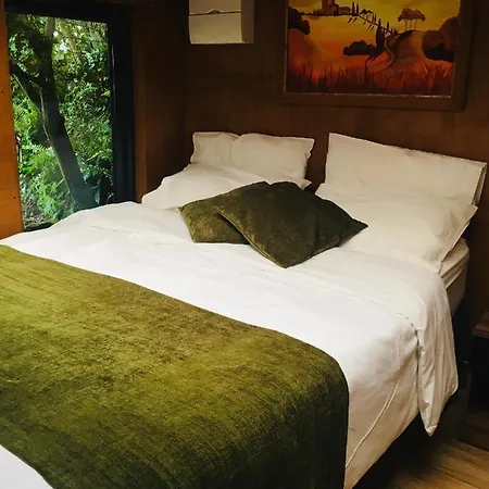 The Dainty Den Hotel Twitchen Exterior photo
